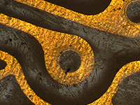 Metallographic Microscopy  - Metal Scratches